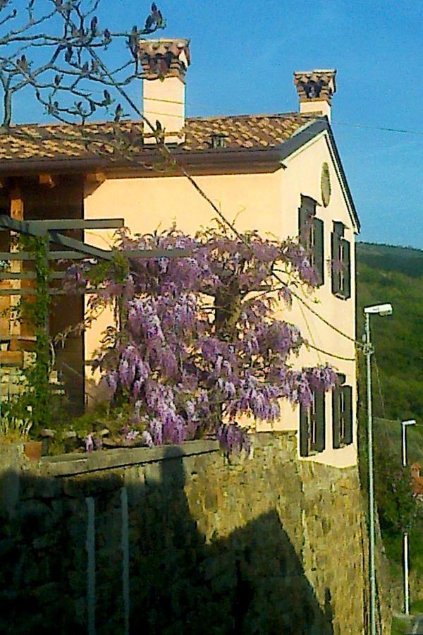 Il Glicine San Dorligo della Valle