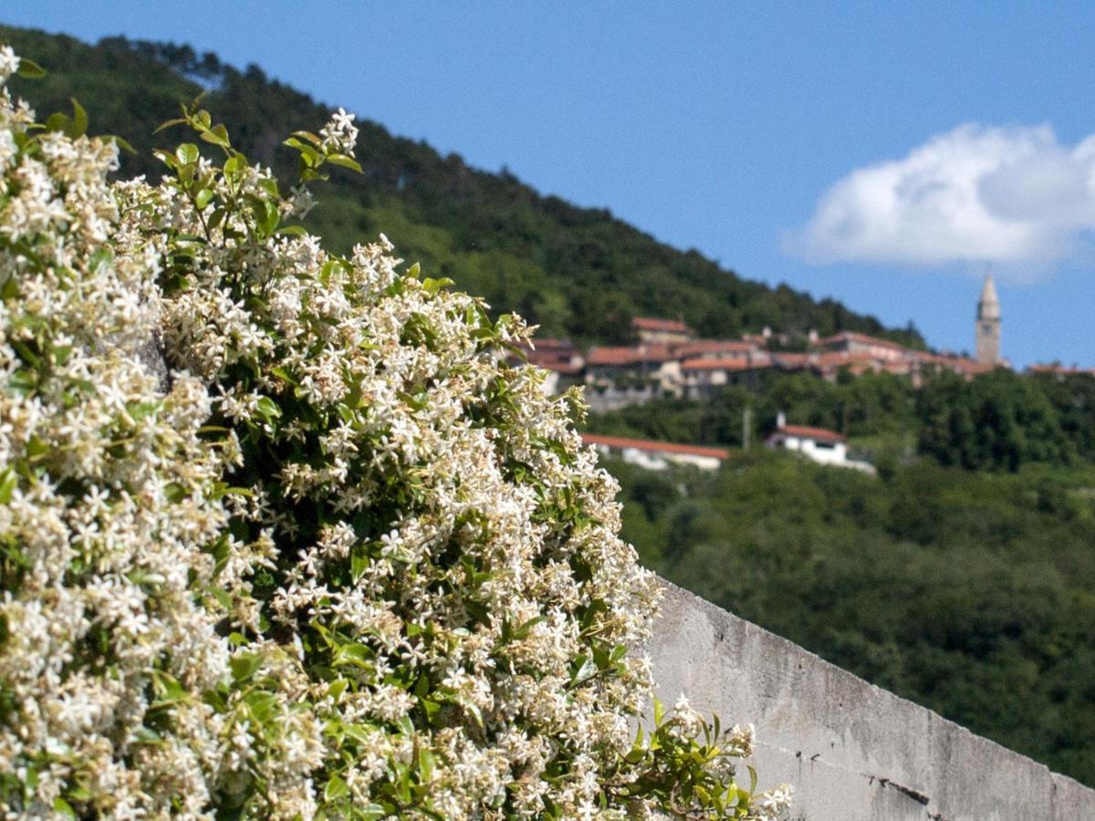 Frühstückspension Il Glicine San Dorligo della Valle