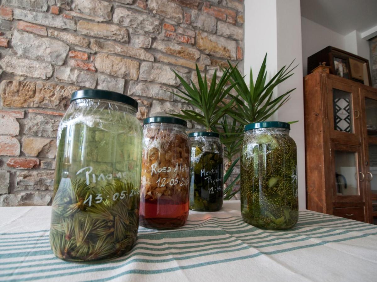 Il Glicine Bed & Breakfast *